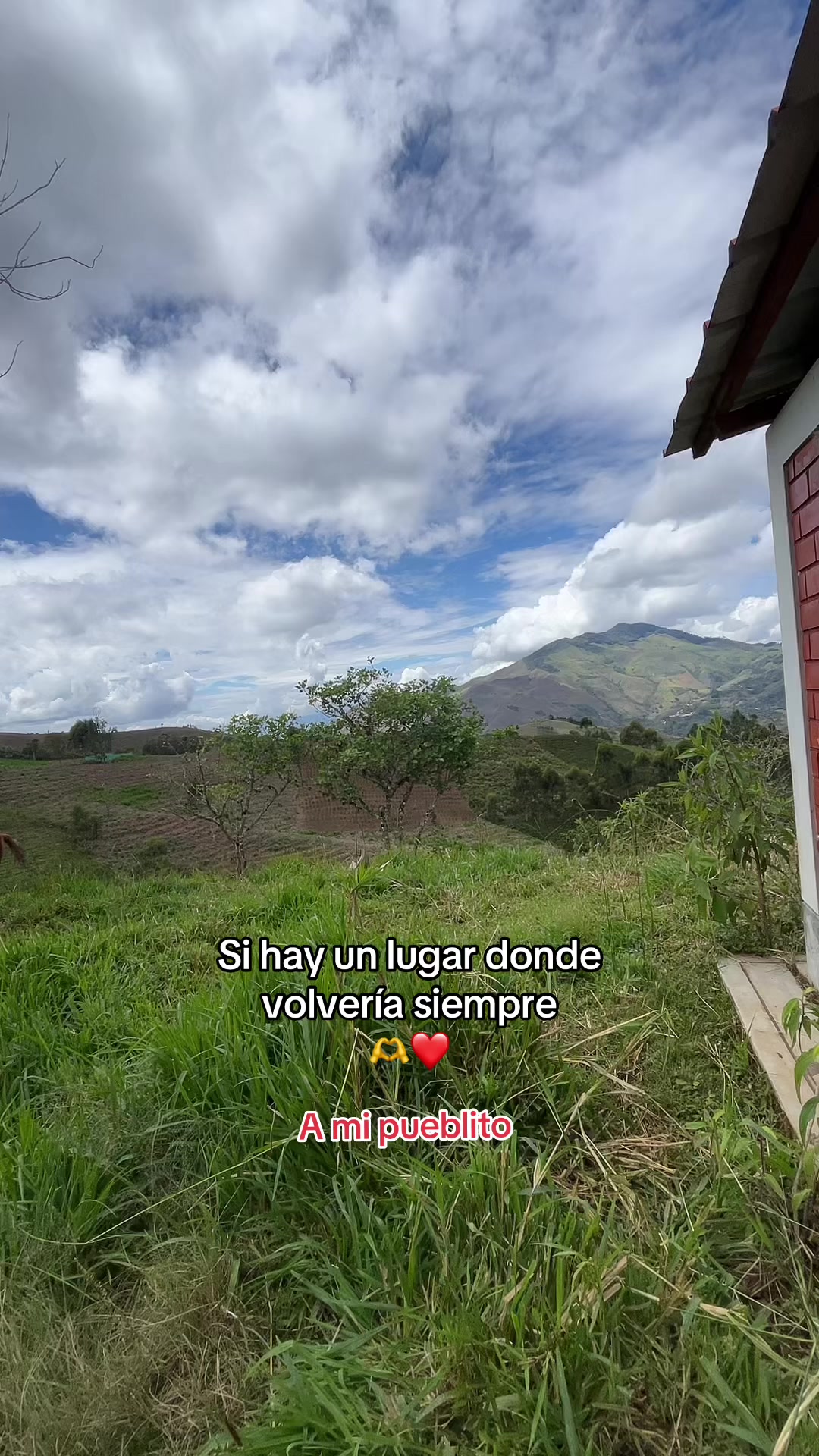 @cajamarquina ❤️