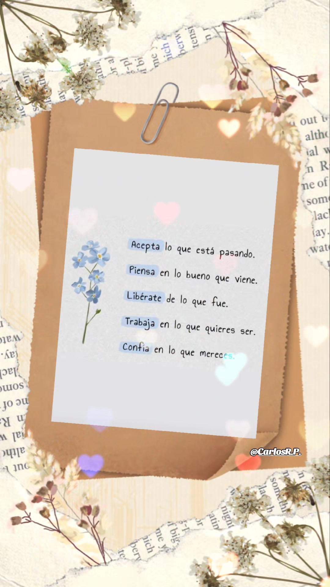 @Carlos R.P.