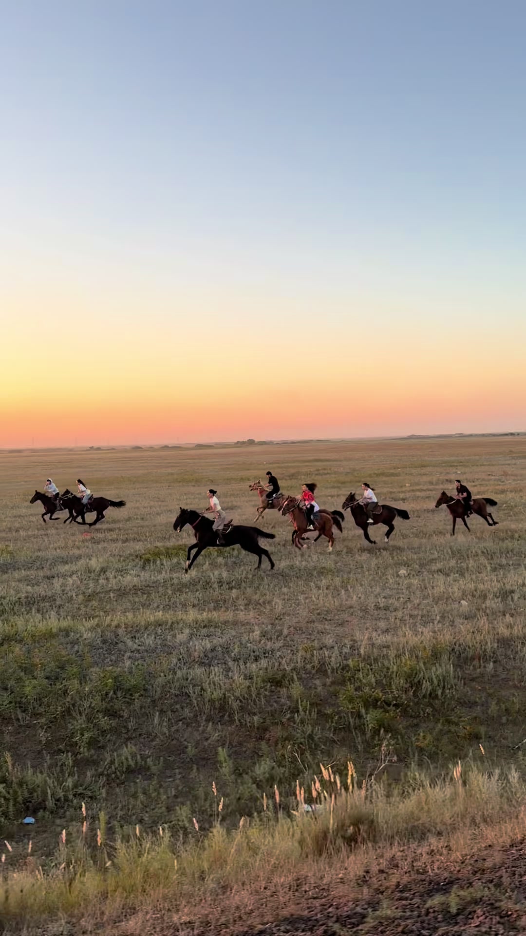 @NAZEKA🐎
