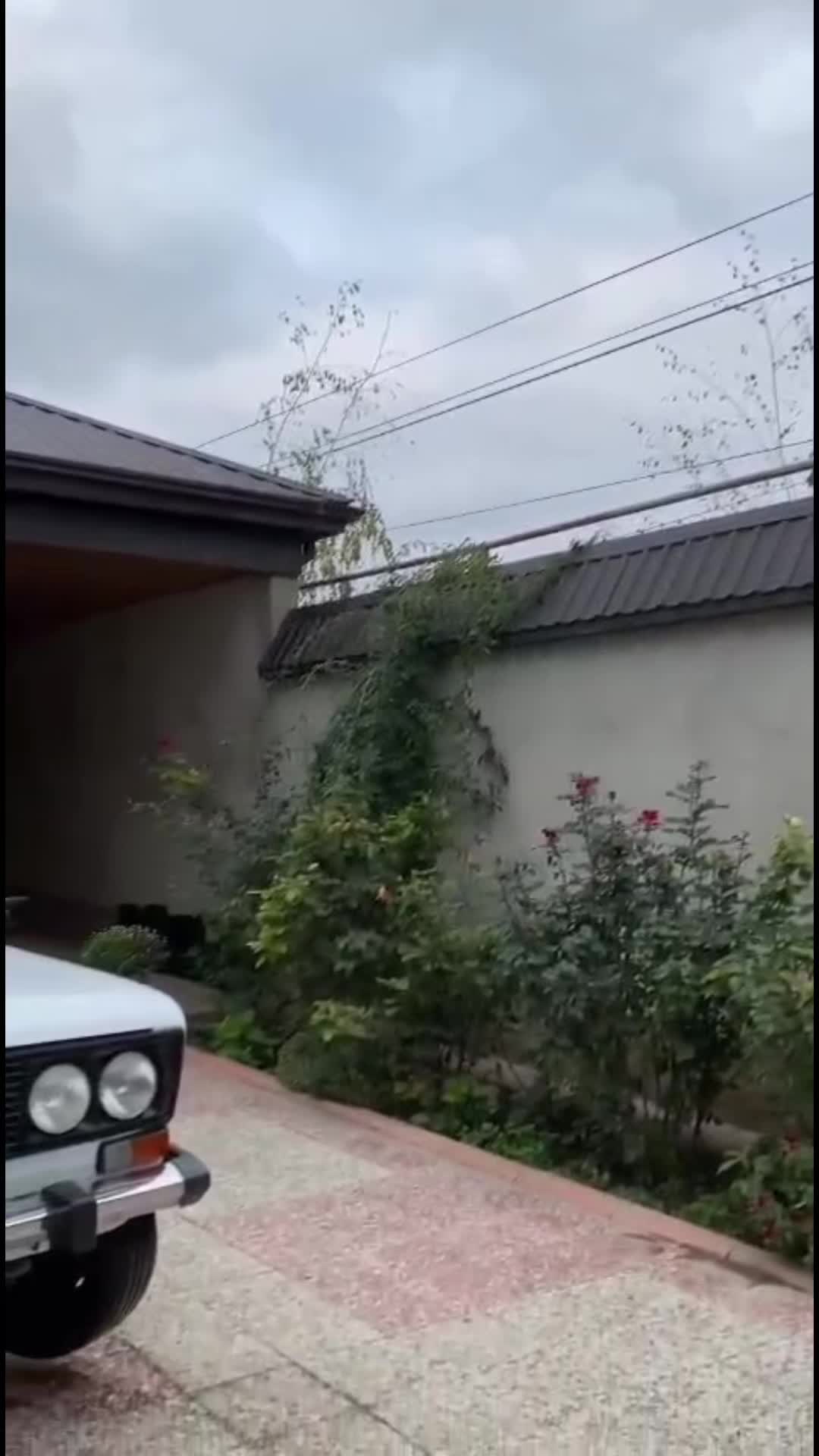 @Vüsal_124