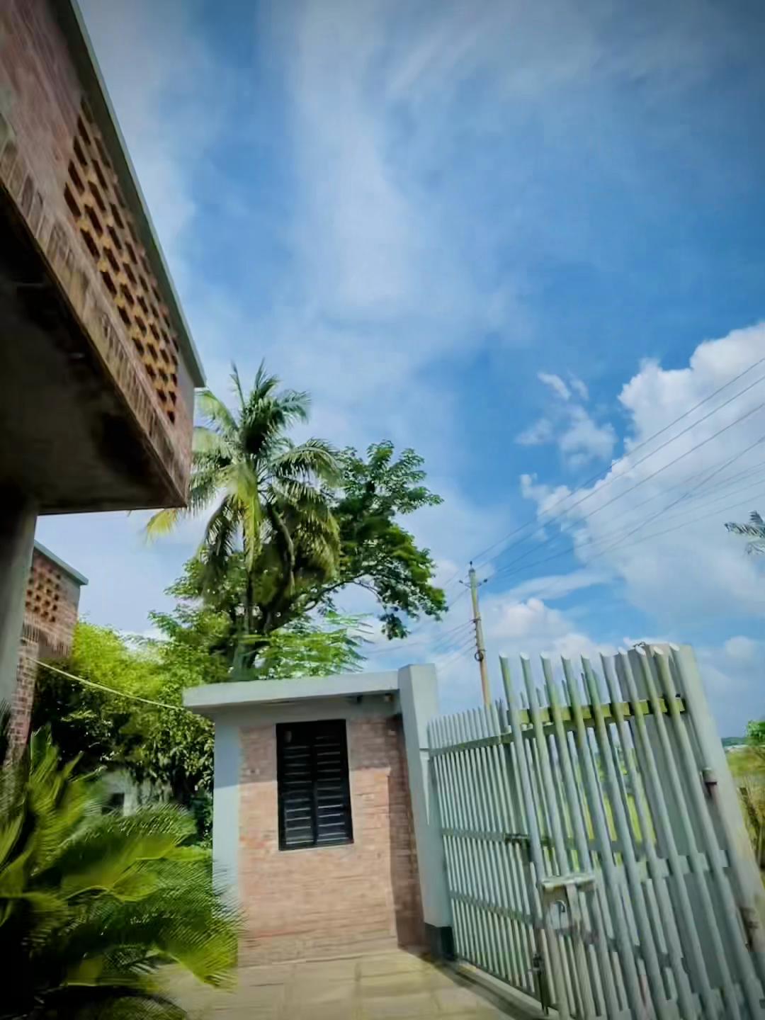 @banglavai4