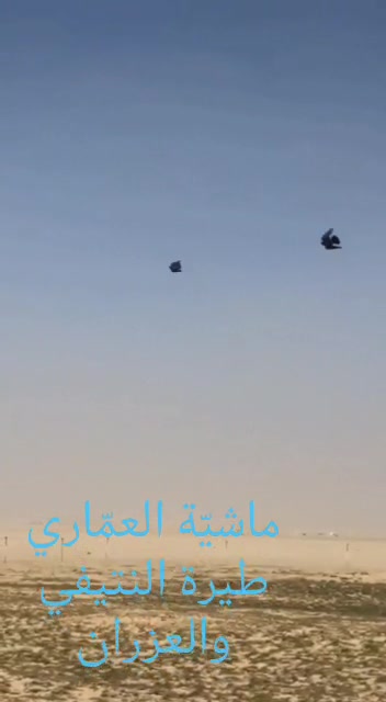 @thamer.alfadel