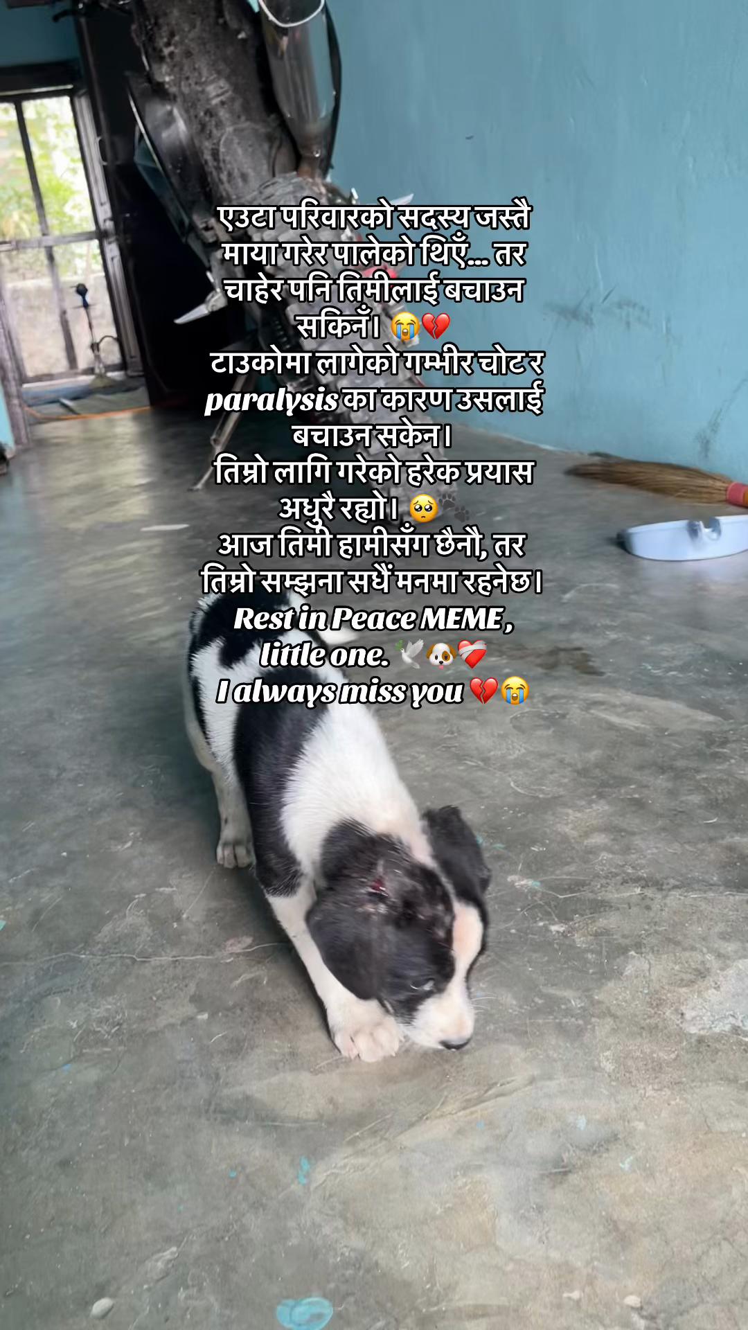 @RABIN VLOG707🇳🇵