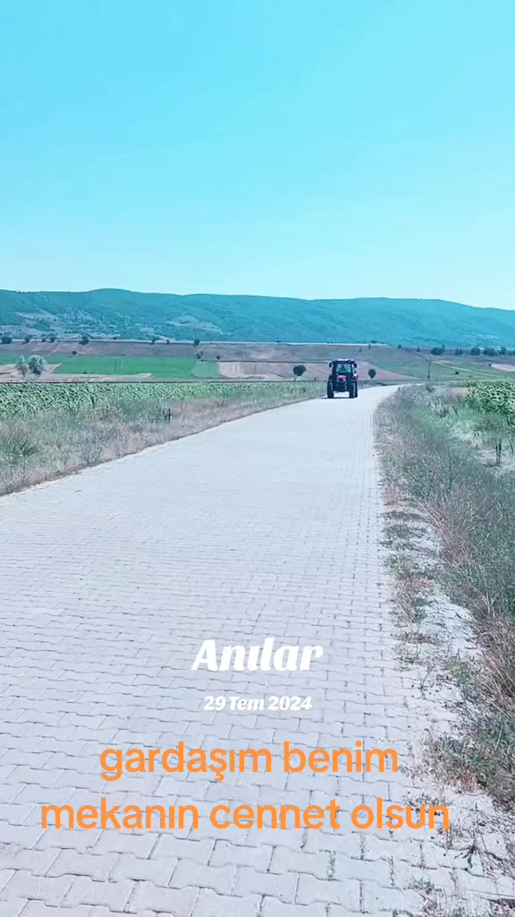 @ÇAM ALİ