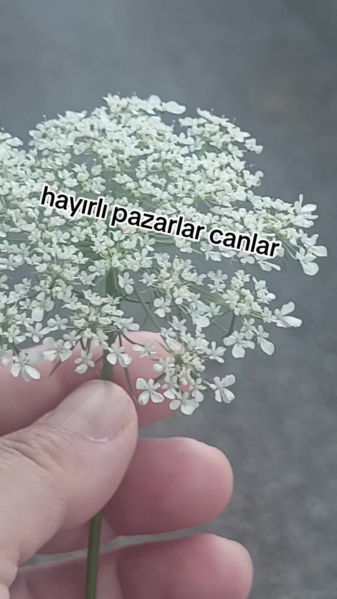 @haticeçift