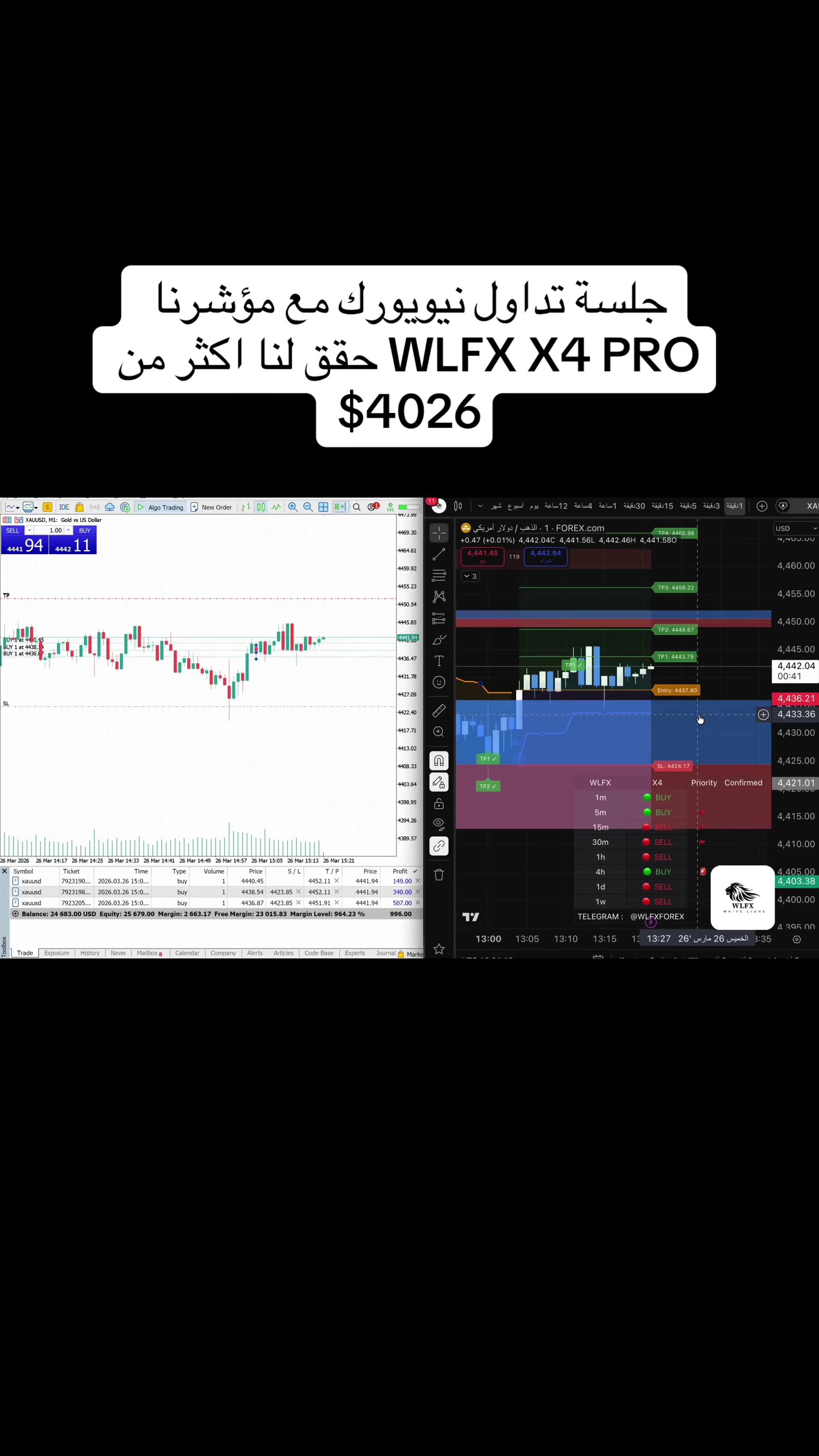 @WLFX.forex