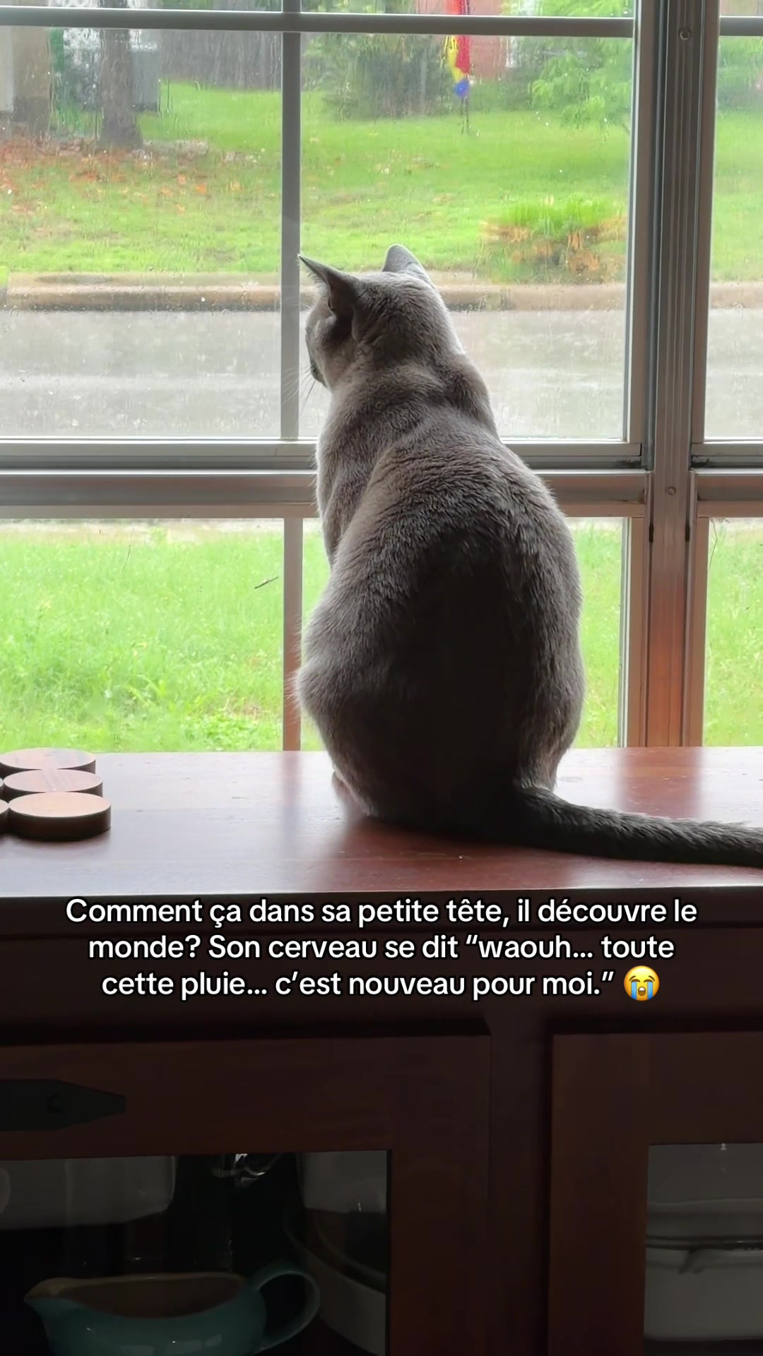 @Sophie_So🇺🇸🇫🇷
