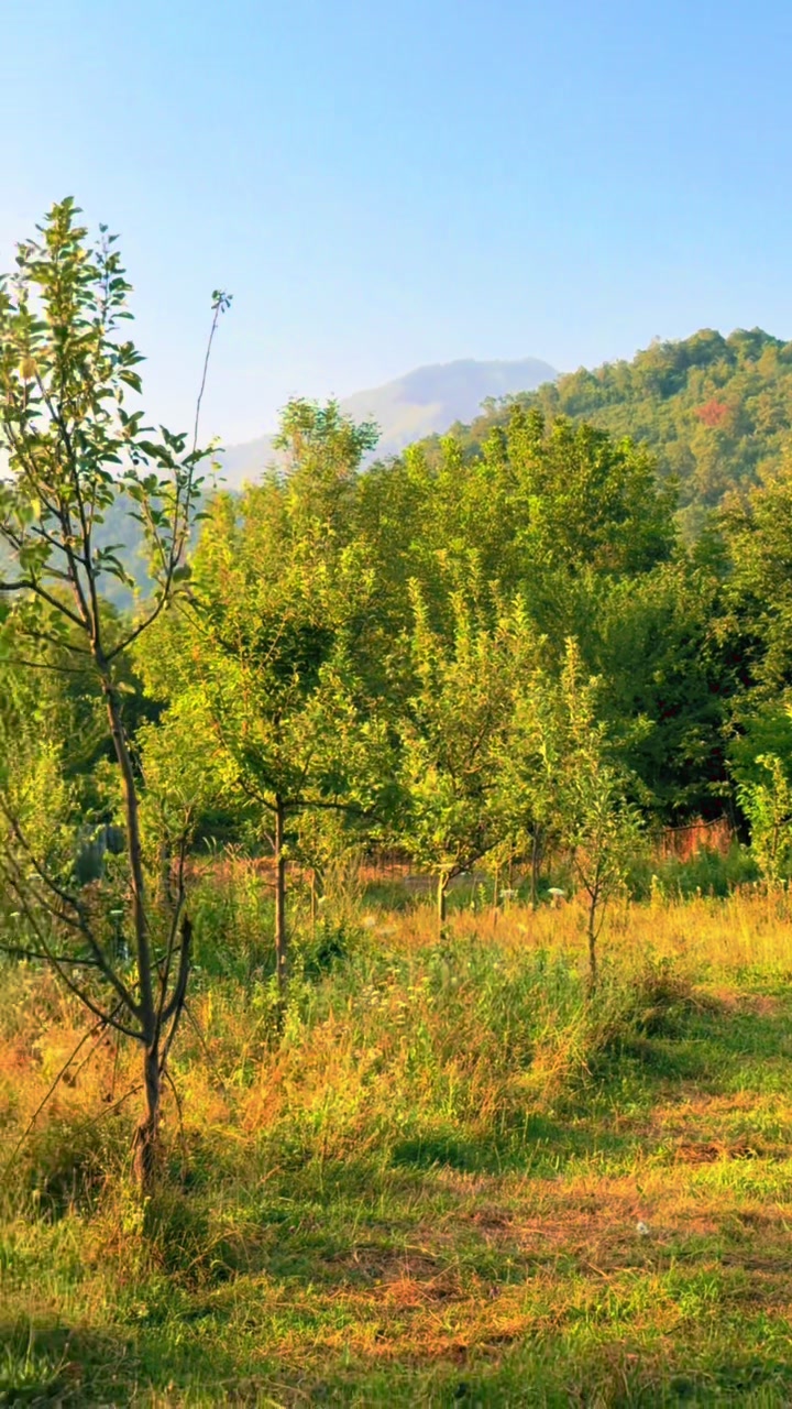 @Qəbələ Əmlak Ruzi