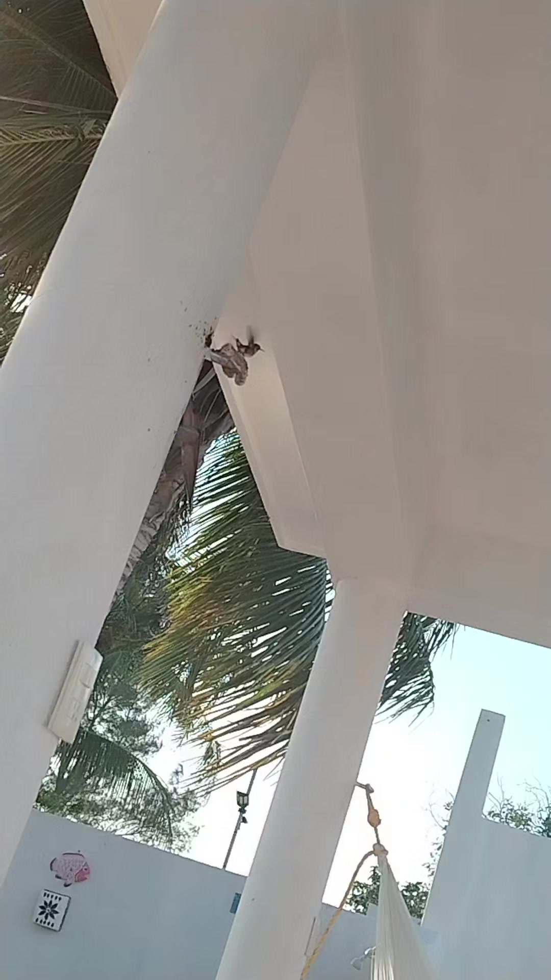 @toque.de.sal