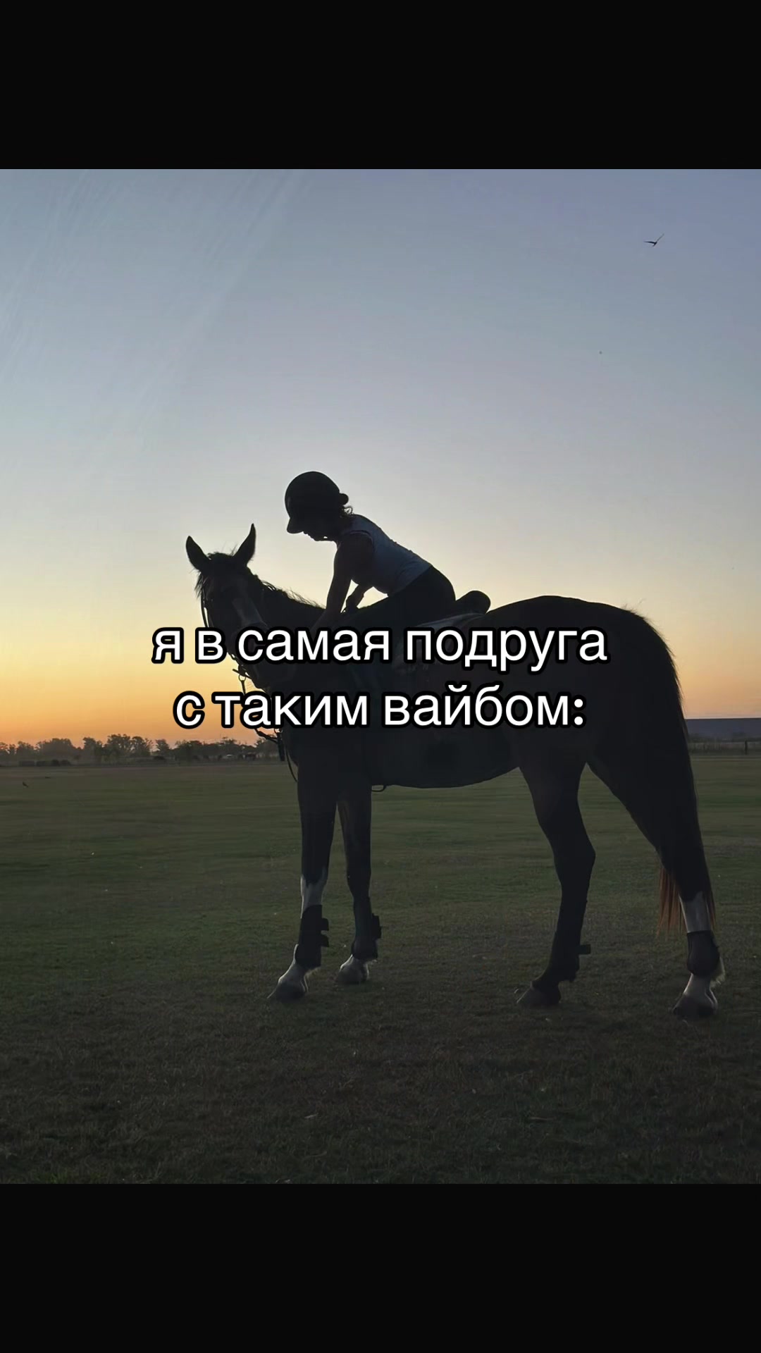 @Ли🐴
