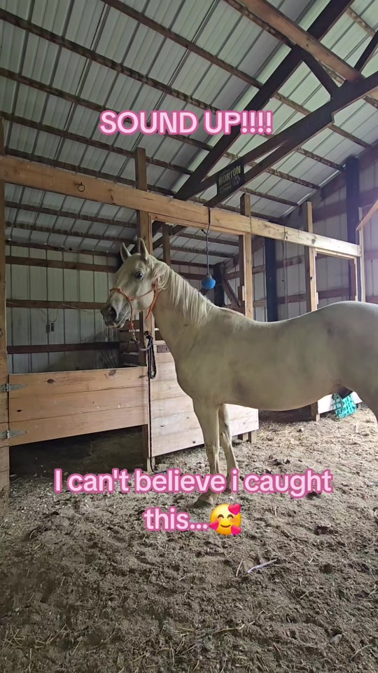 @Small Town Farm LLC