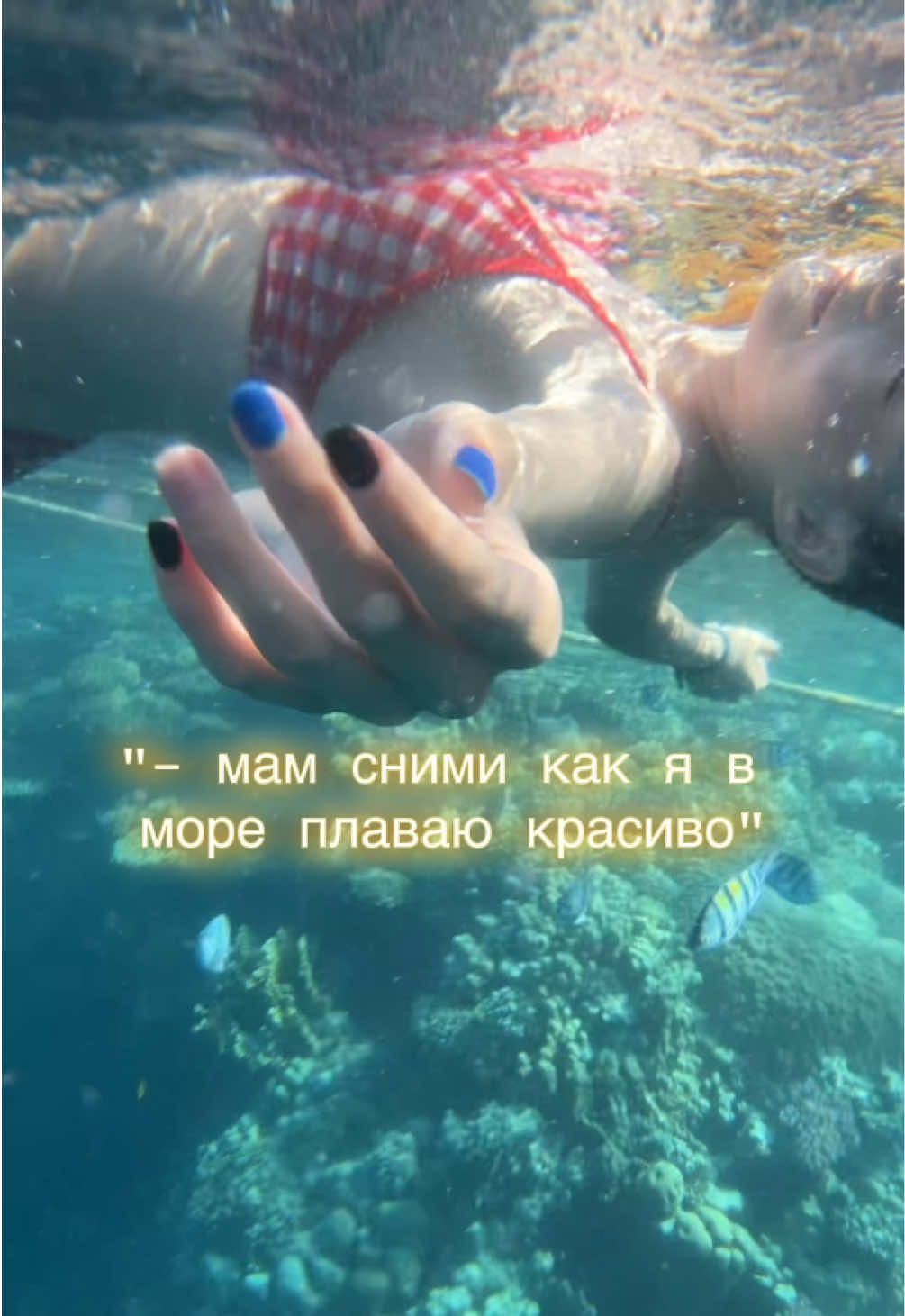 @солис
