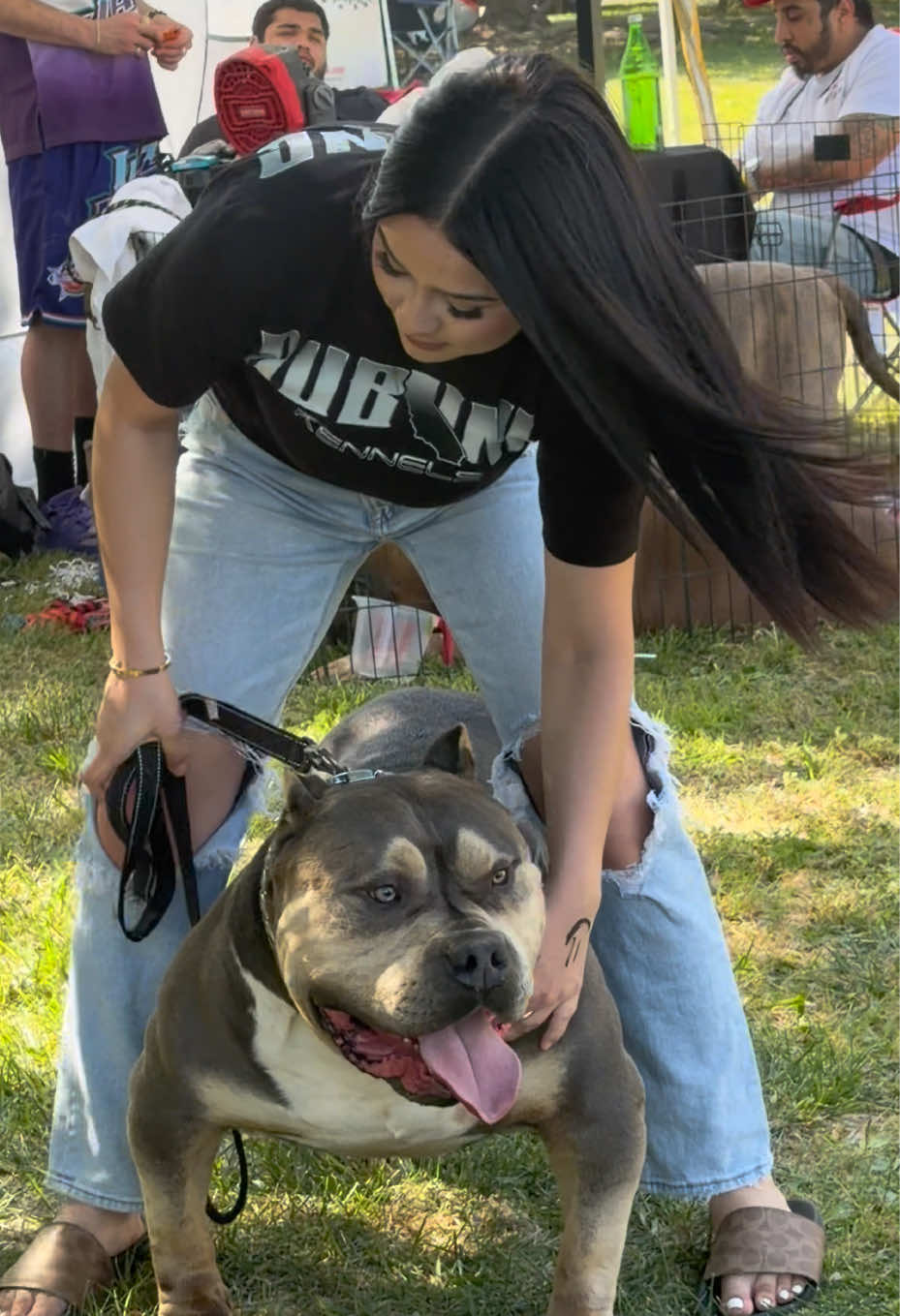 @@Dublinekennels