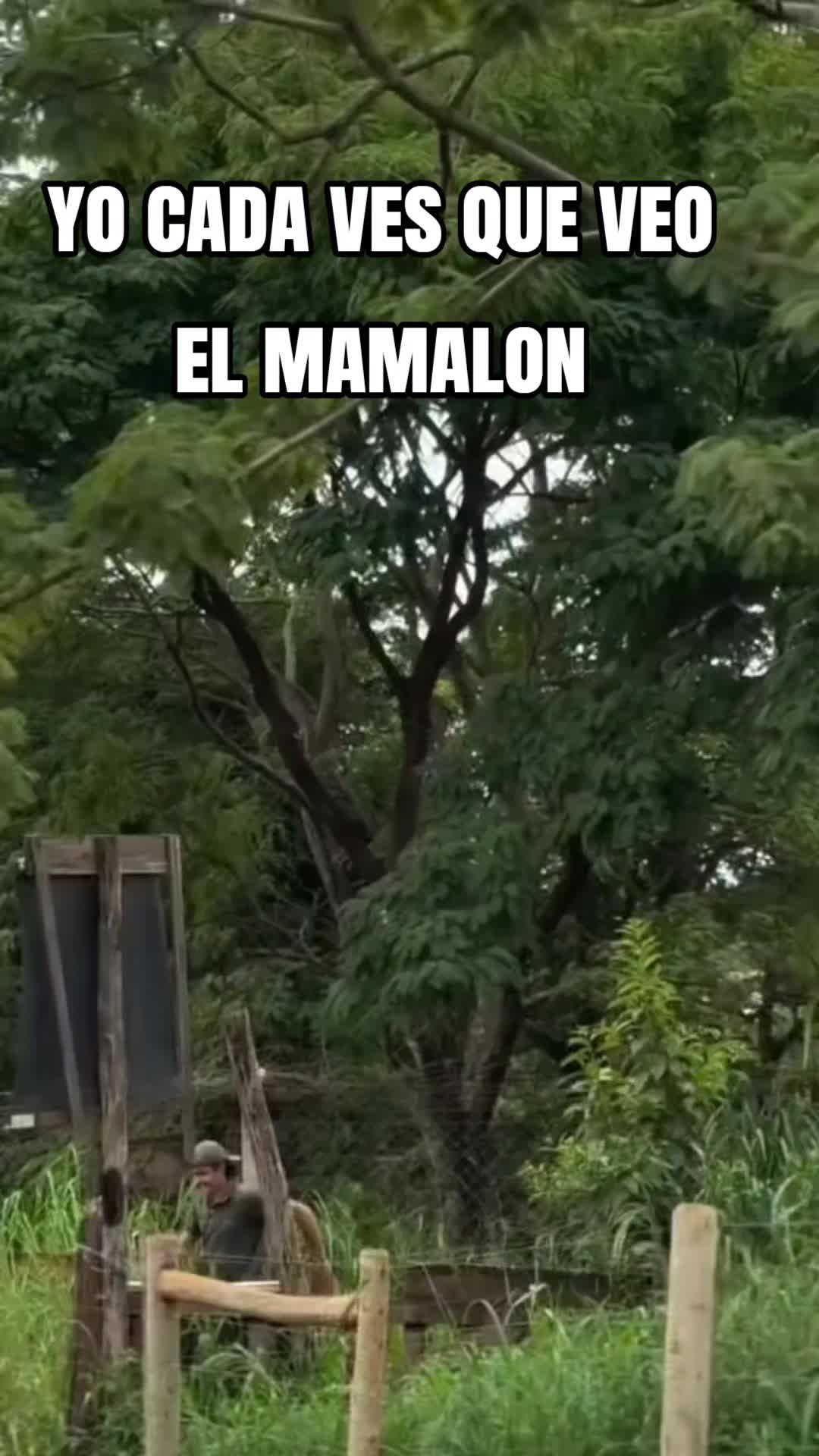 @VARGAS💯