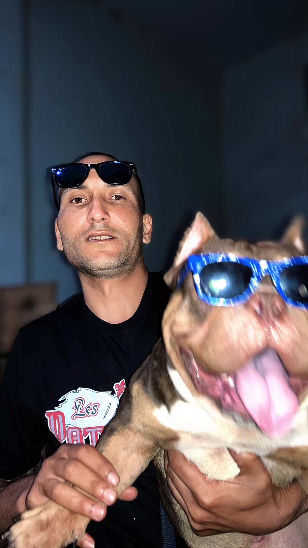 @canicorsoftmalinois