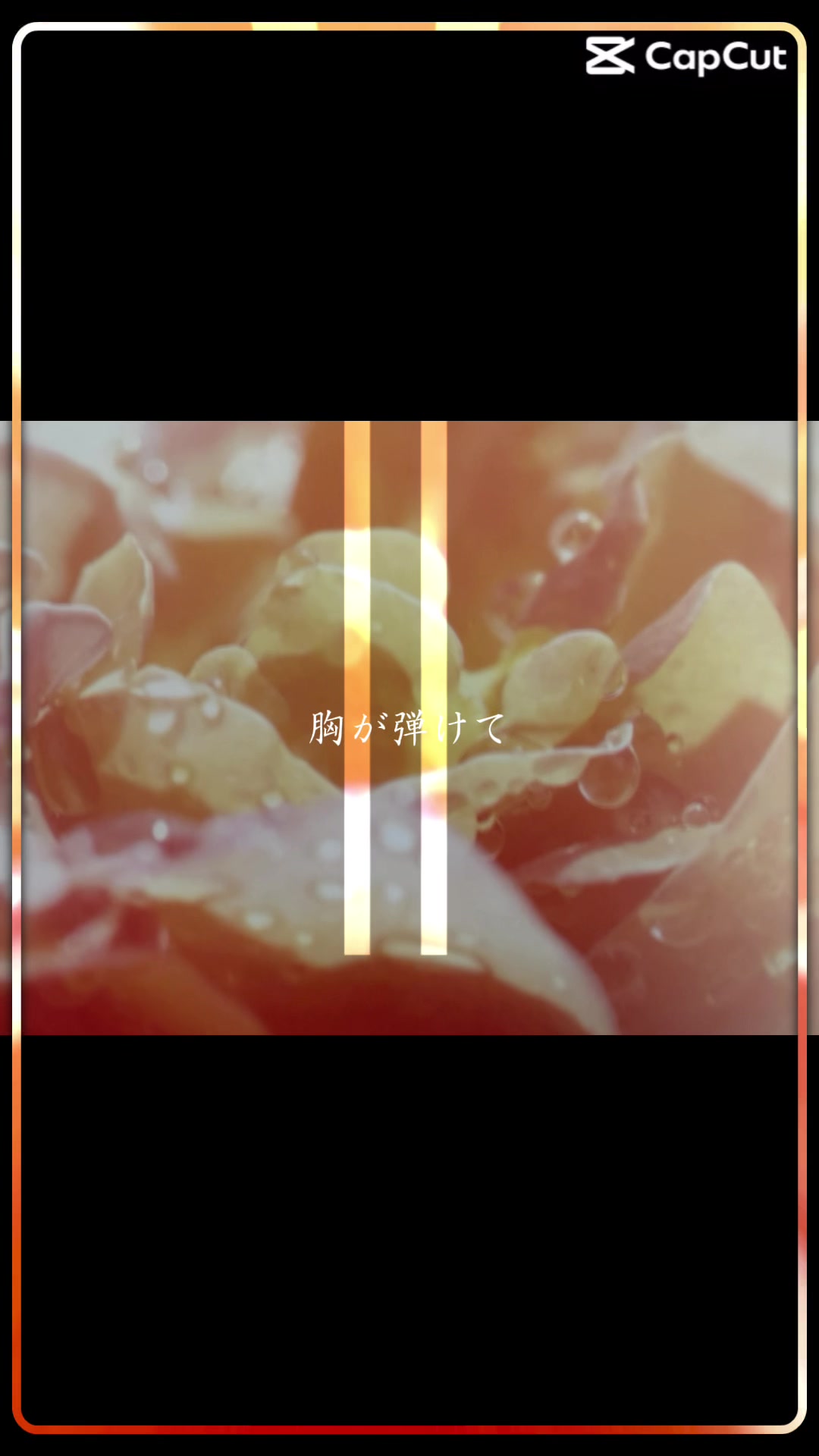 @ちえたん(母管理)