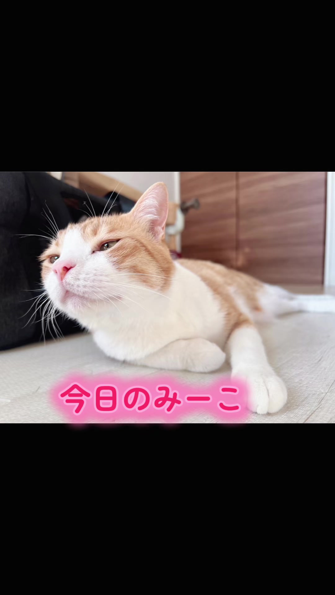 @みーこchannel