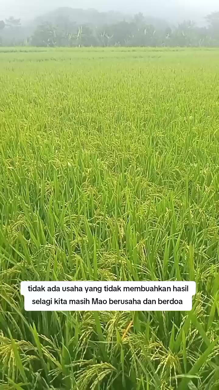 @Tatang Wijaya