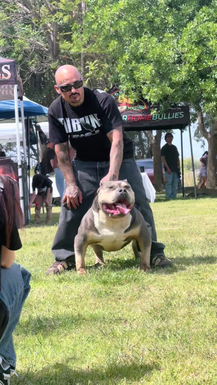 @@Dublinekennels