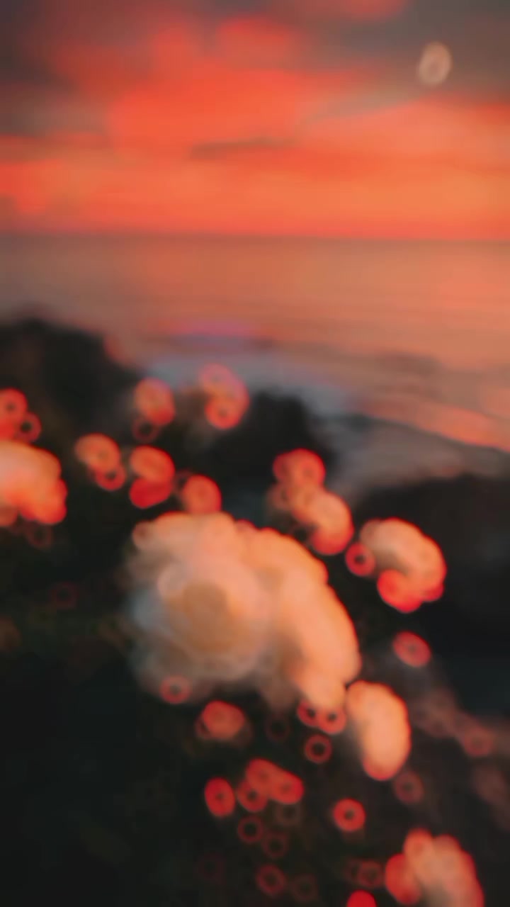 @亗『𝕽𝖆𝖏𝖆』亗
