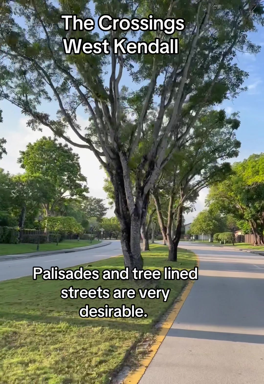 @Florida Land Guy