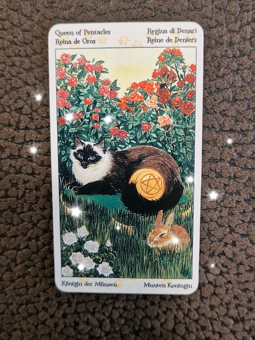@Tarot Botschaft