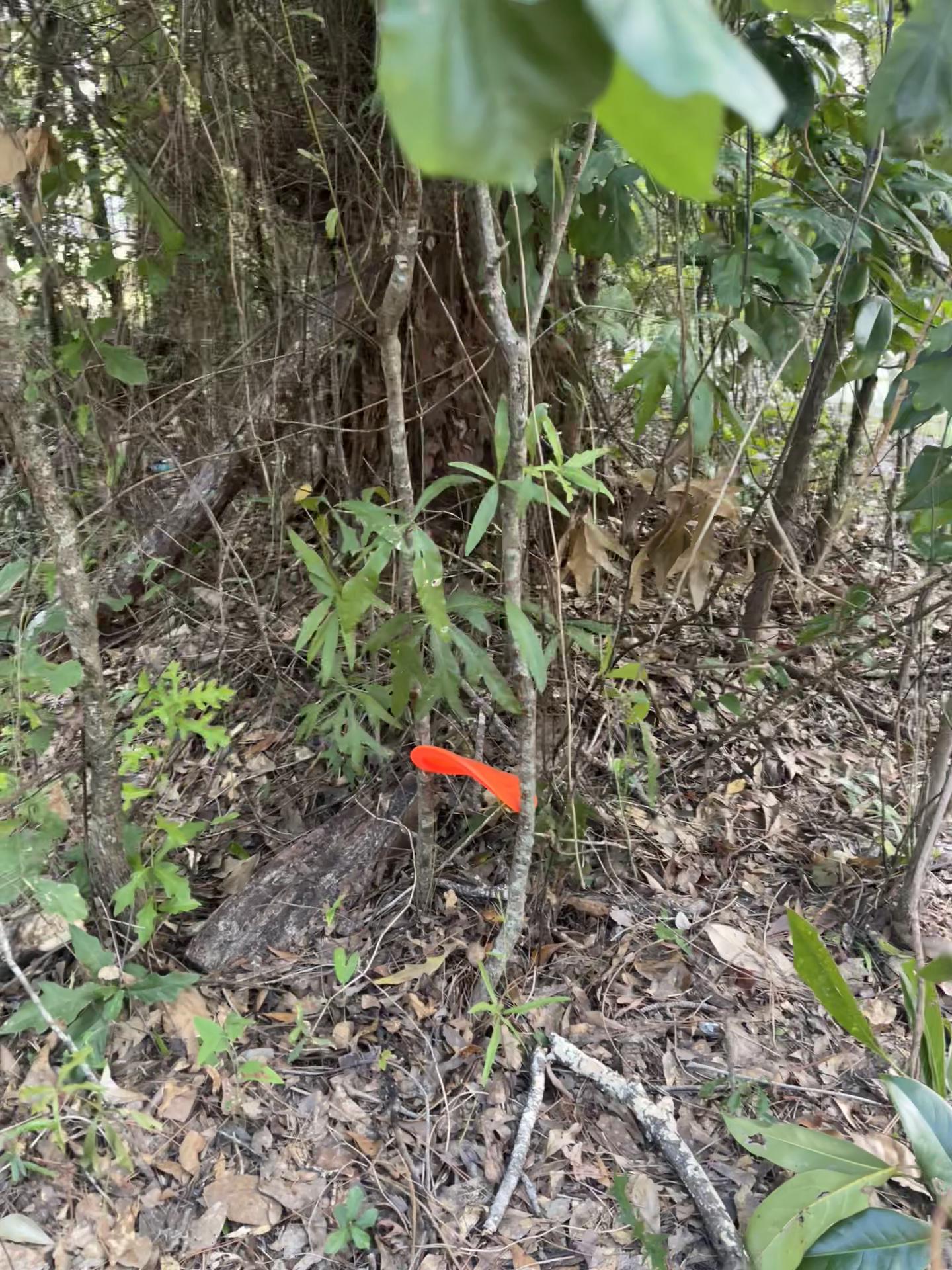 @Not The Worst Disc Golf