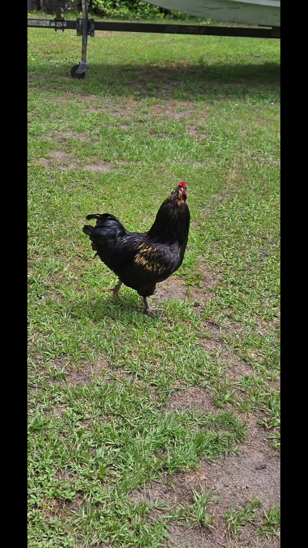 @chuckday320