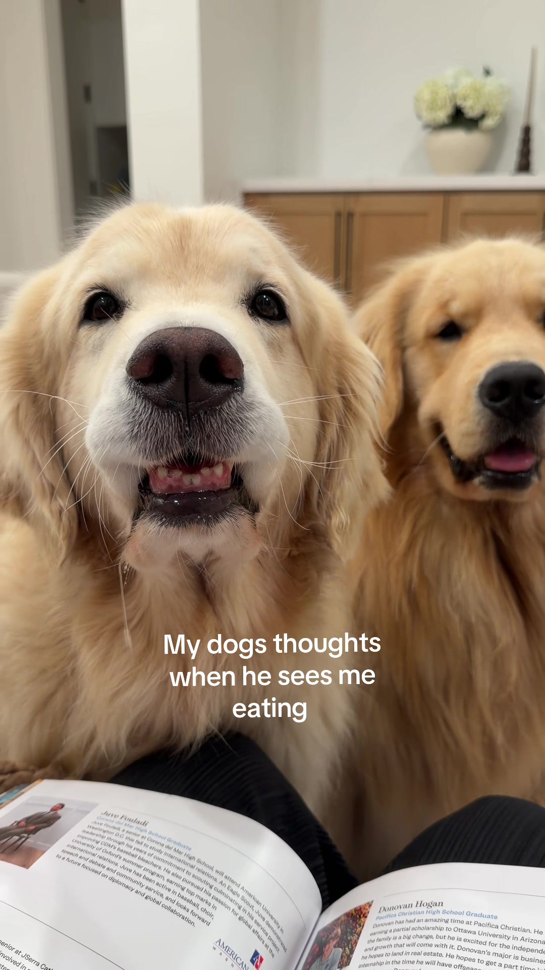 @Maui, Ruby +Hugo