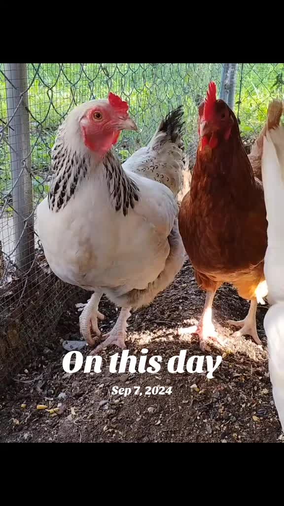 @Flhorselife772