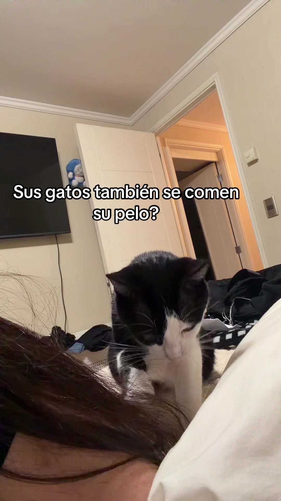 @matitaan