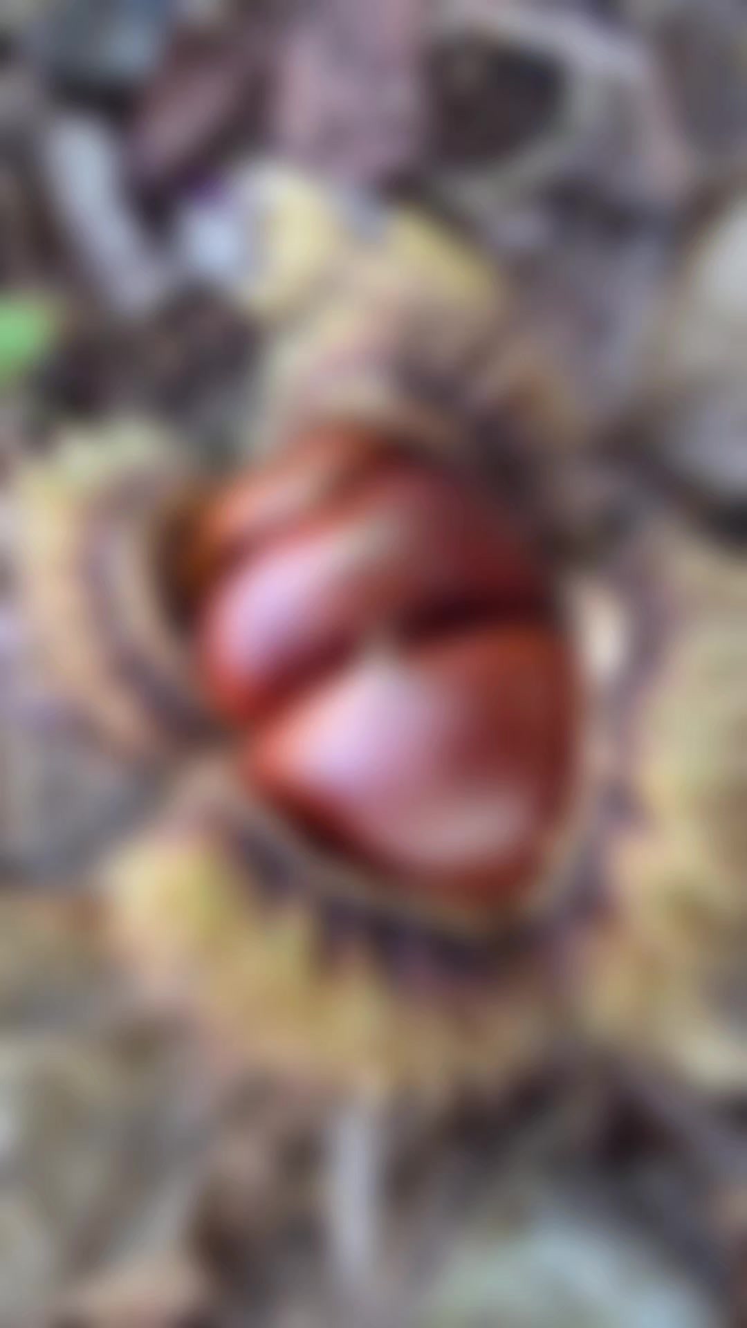 @ððeriðžðŠ