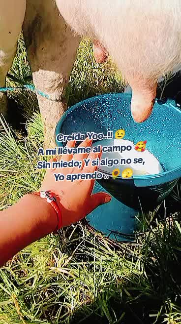 @🪐🩵LiiZ✨❤️🩹