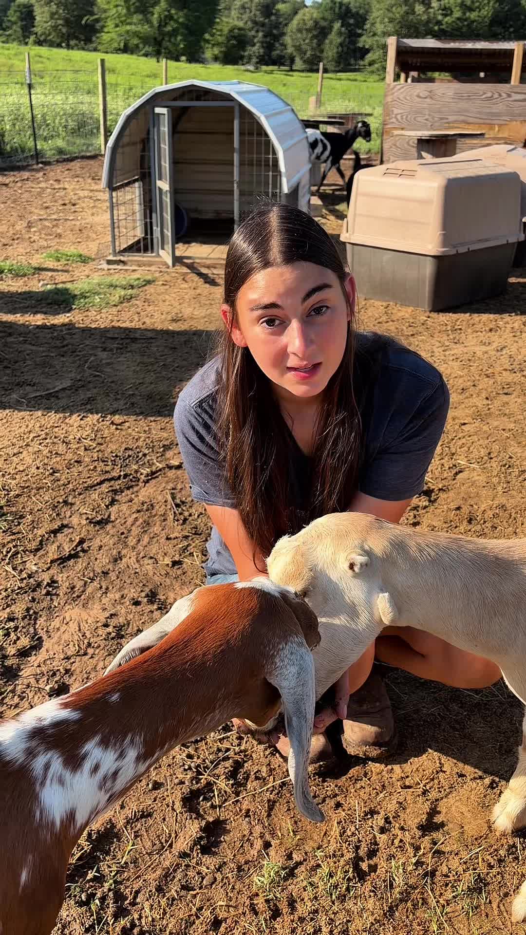@Heart & Hoof Homestead