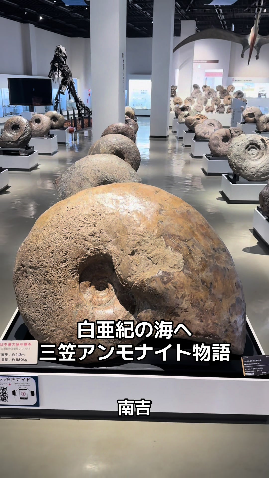 @モミゴンJK(南吉)