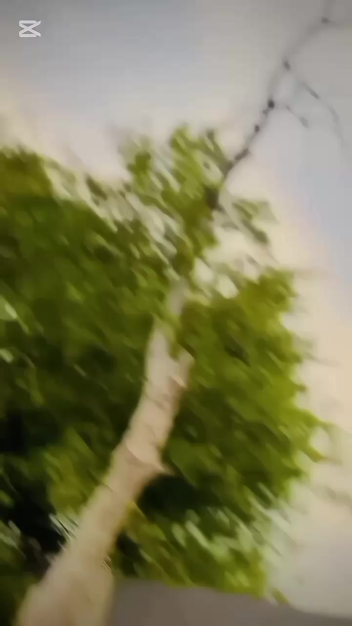 @♛『ملک》⚜️ ♛