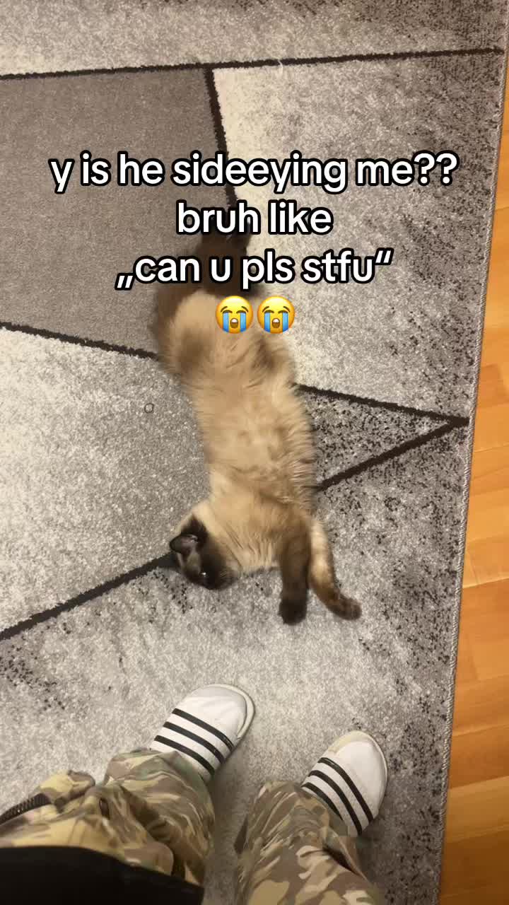 @onthelow4real