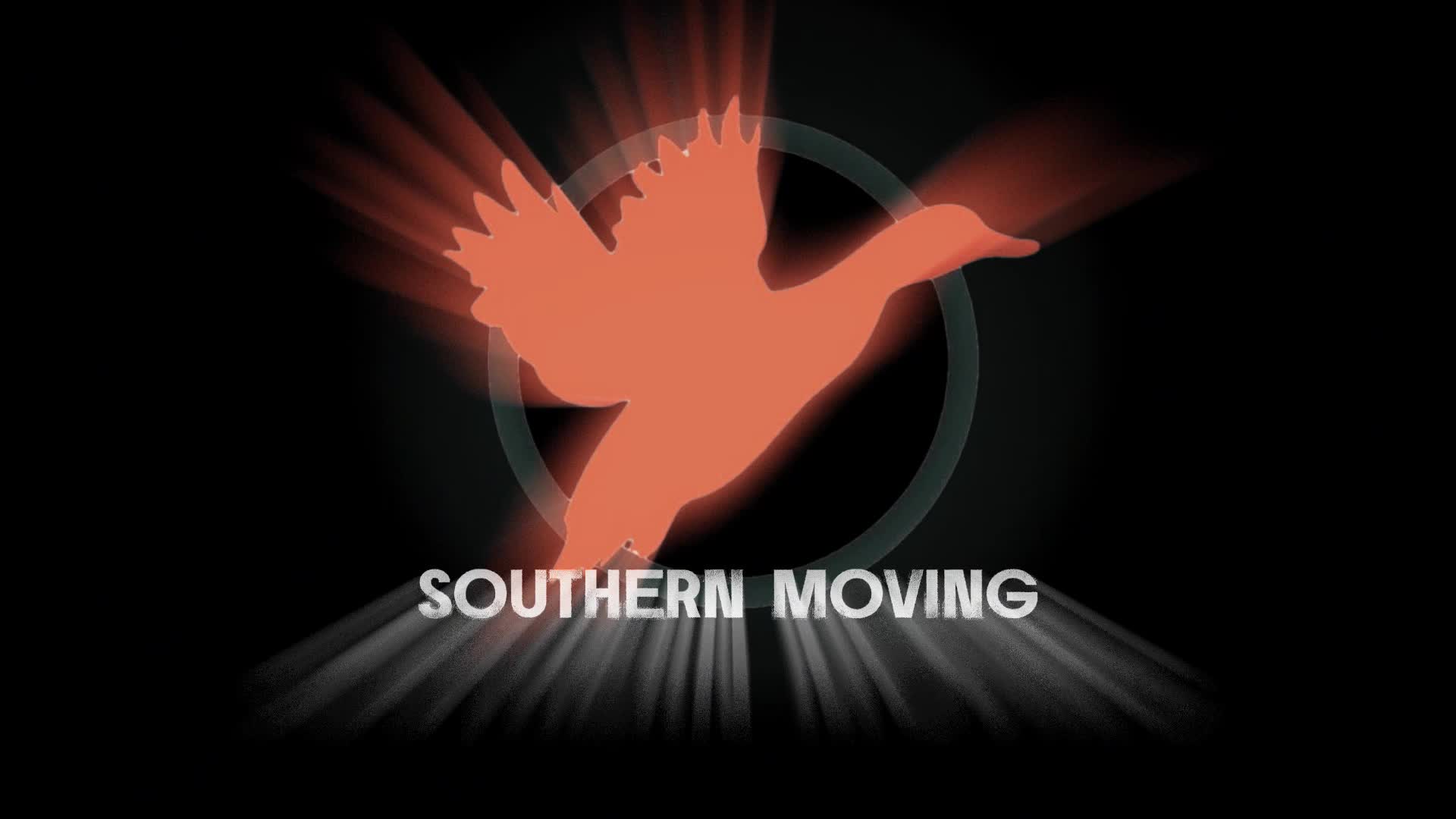 @move_expert_ilm
