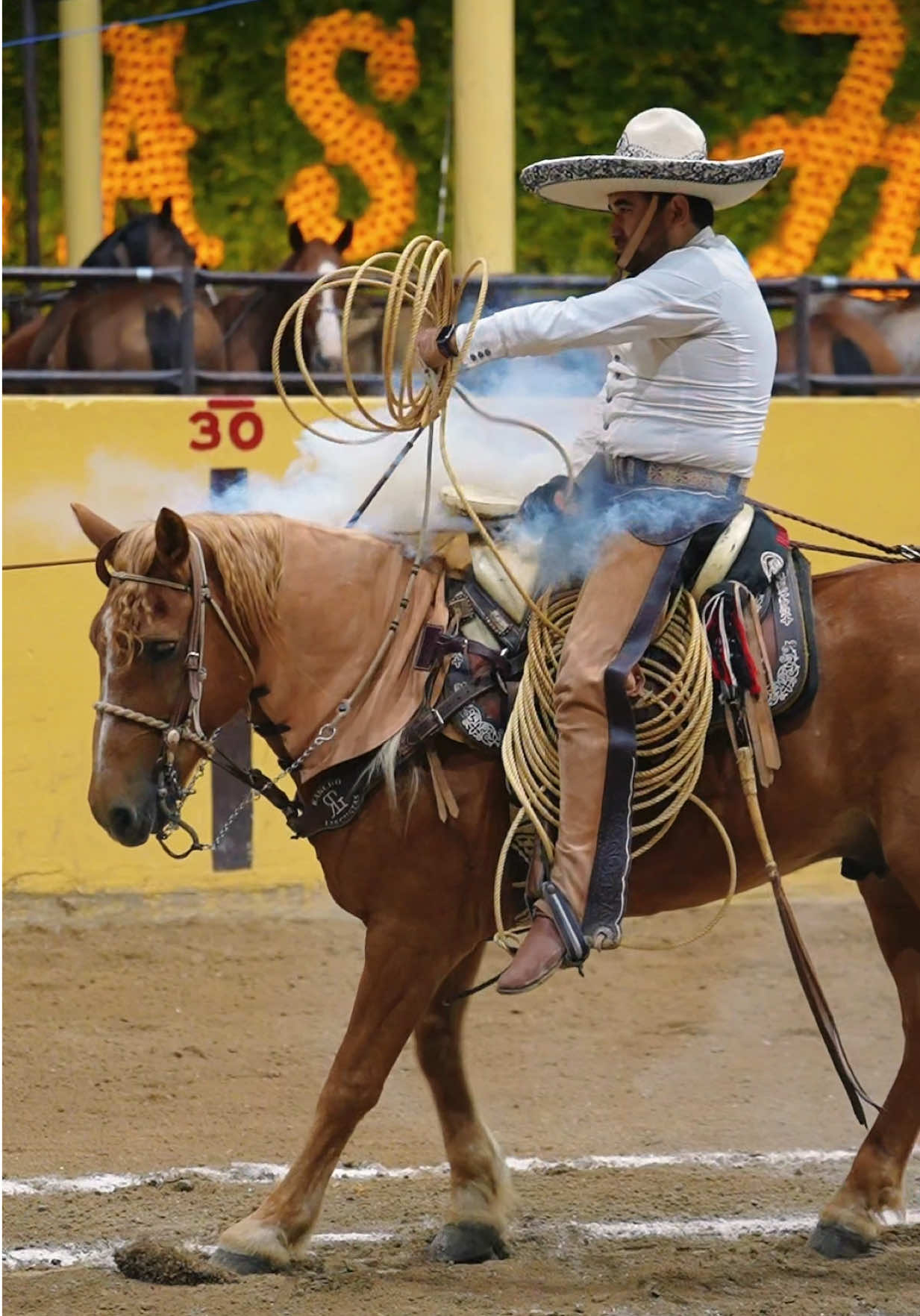 @HerenciaCharraFotografia