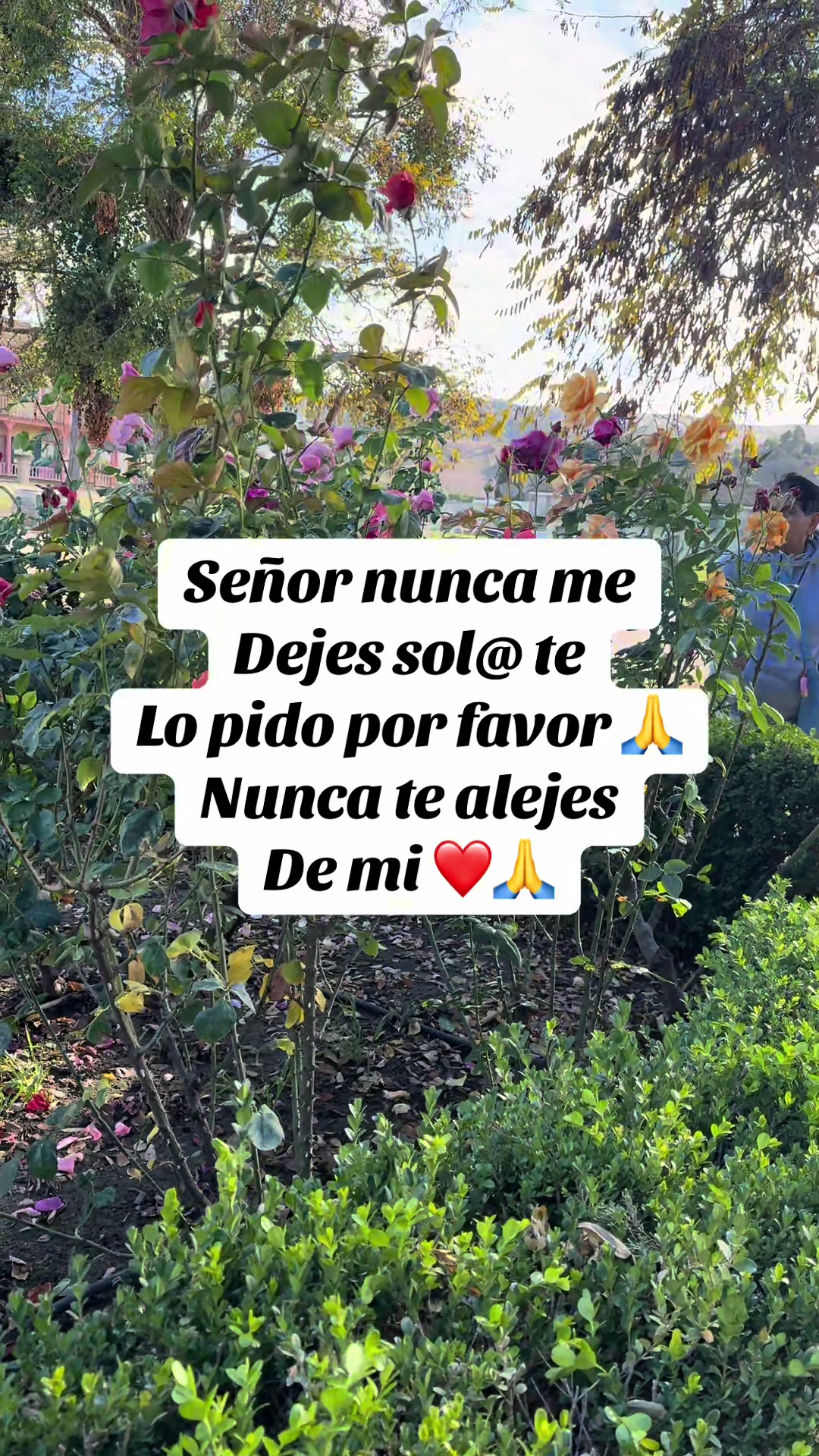 @❤️sanando el alma❤️