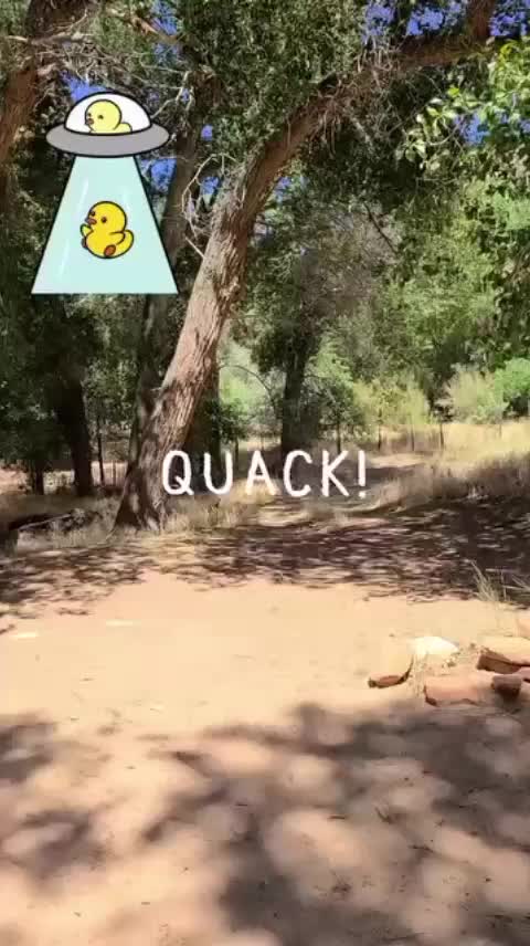 @Killthemansavethendn