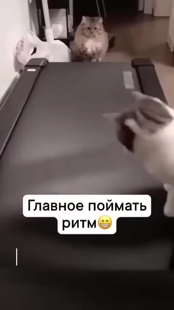 @Юлия🇷🇺🇩🇪🇷🇺