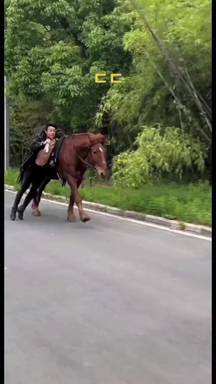 @꿈의궁전 환멸샹년