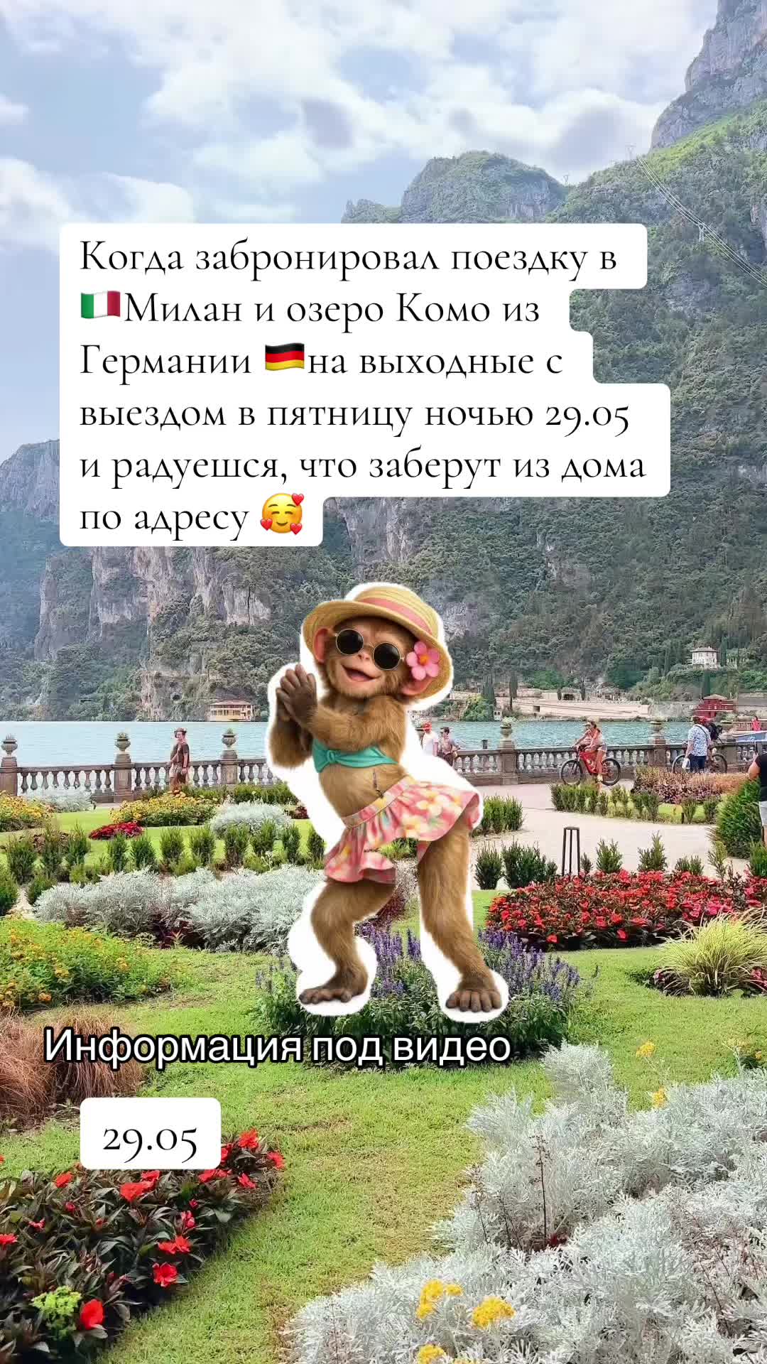 @Mario Tours