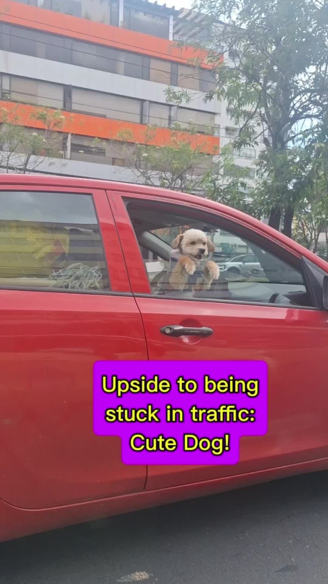 @NoodleThrower