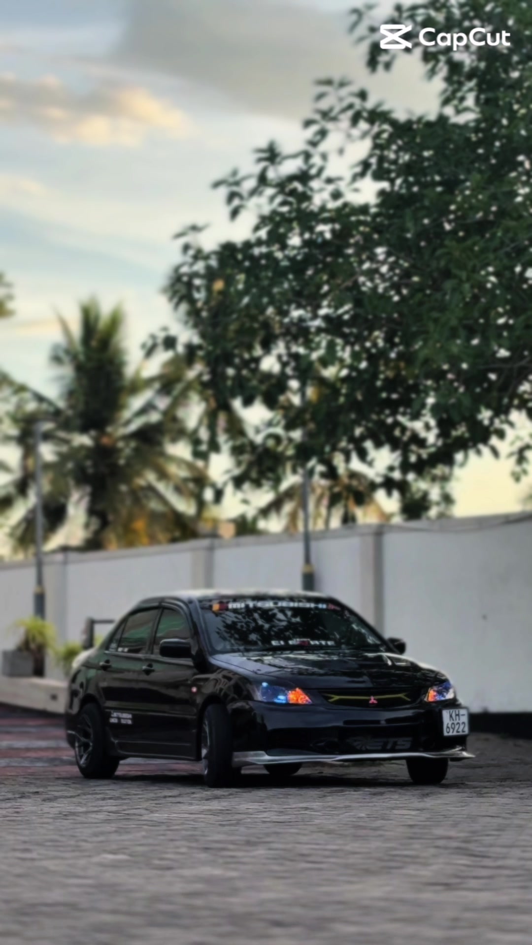 @T🪼