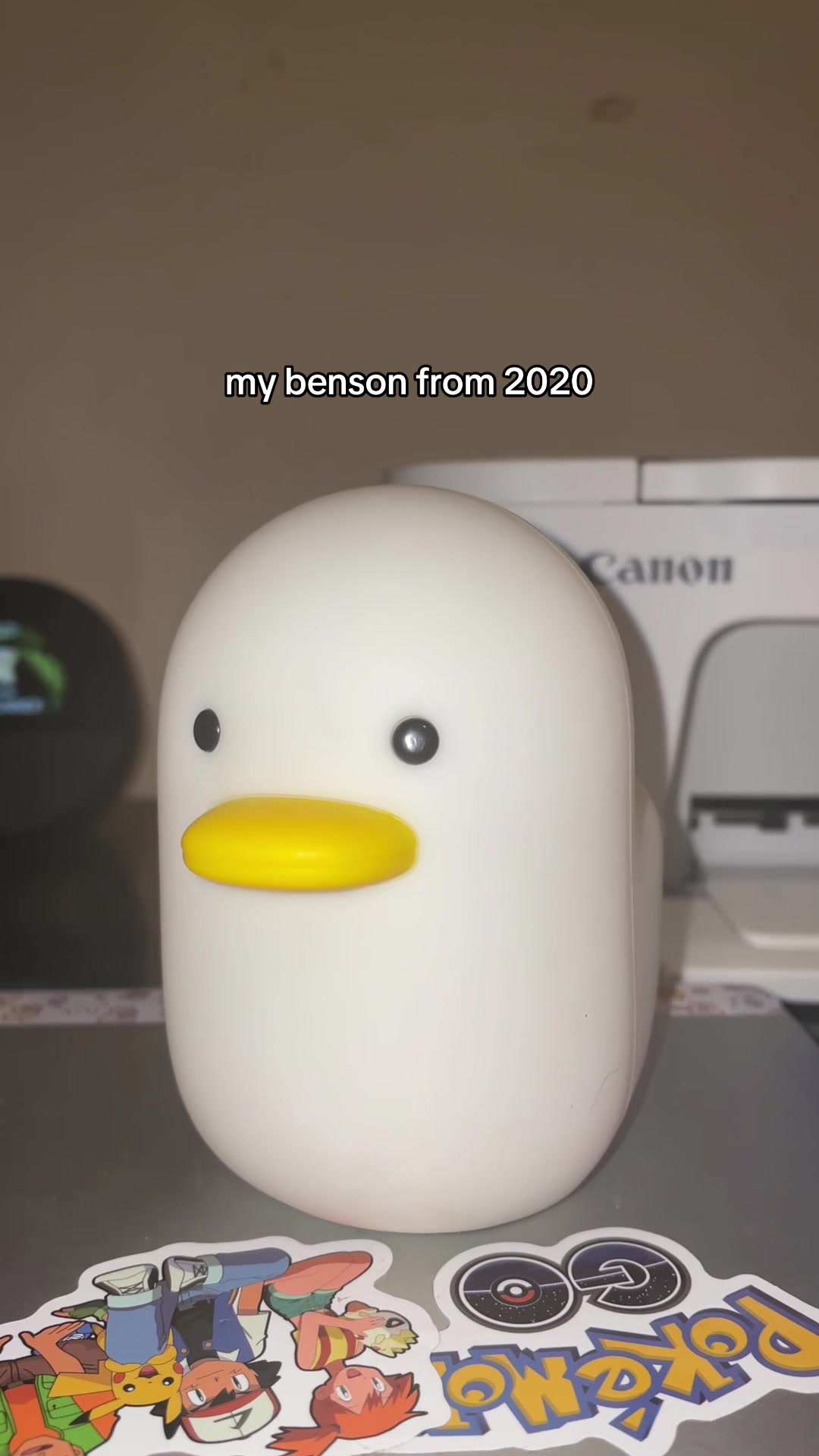 @Maxprocyonꨄ︎