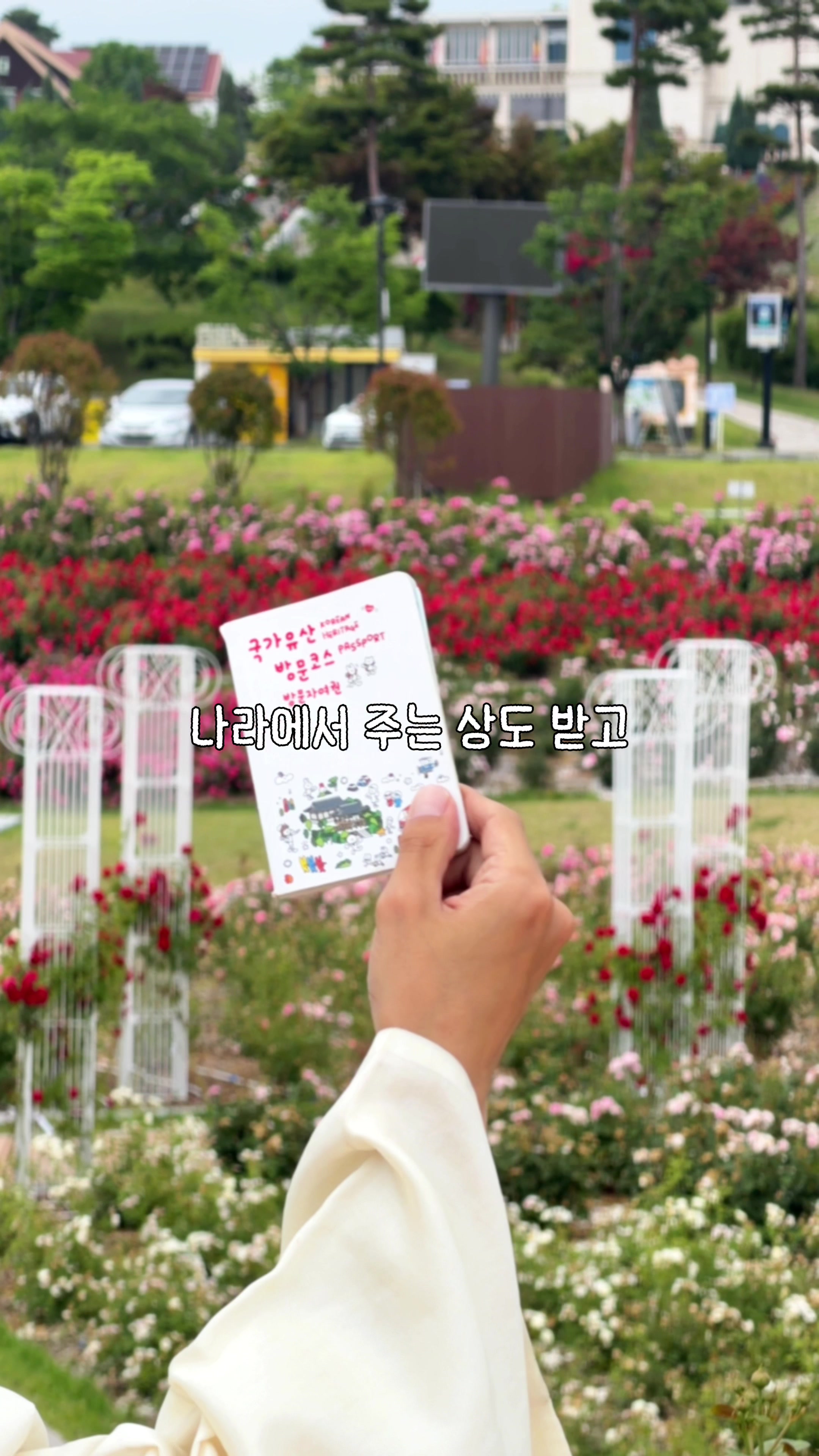 @traveler_jin