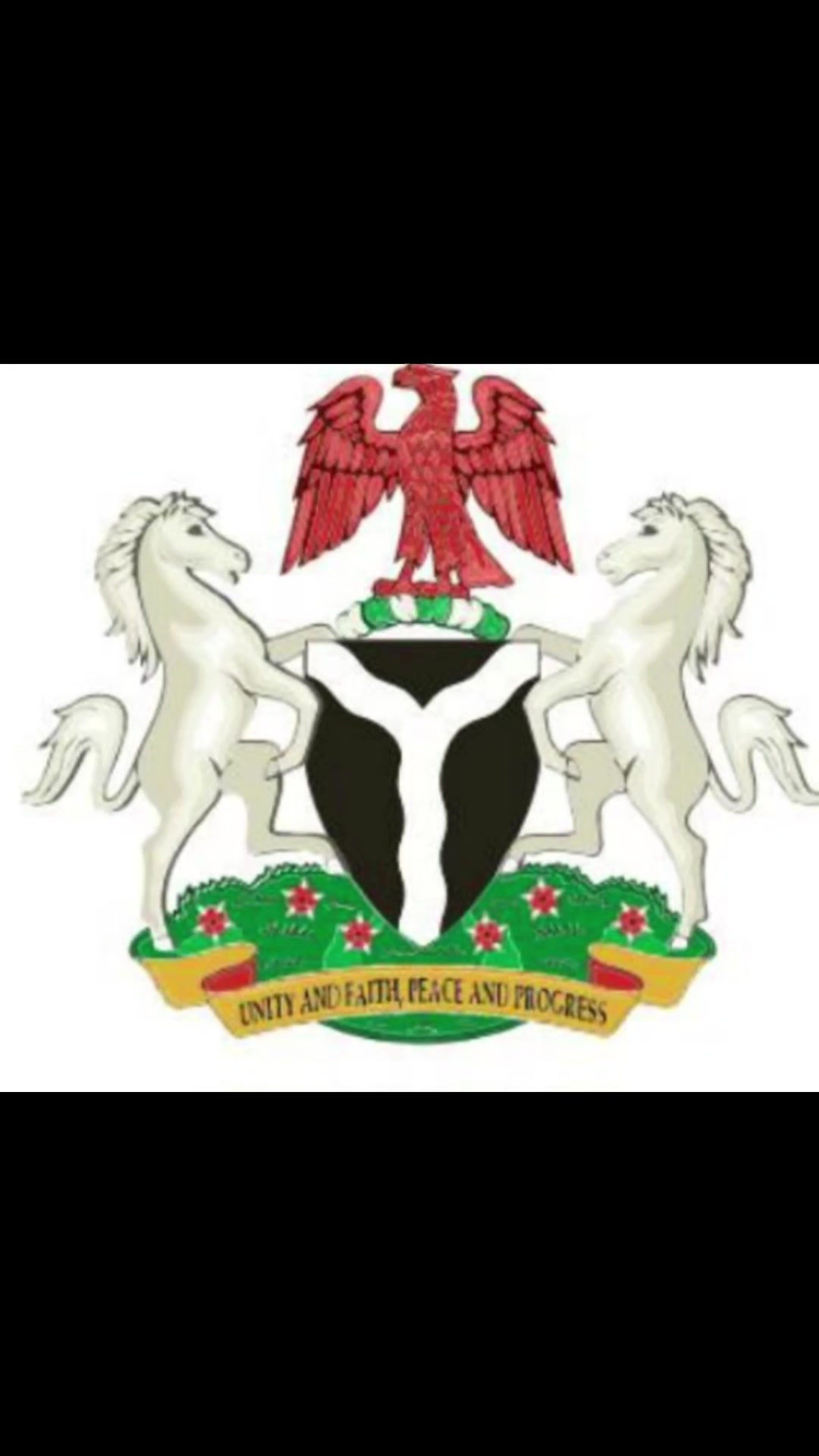 @🇳🇬 MATAR KING 🤴 Abdoul.ali.