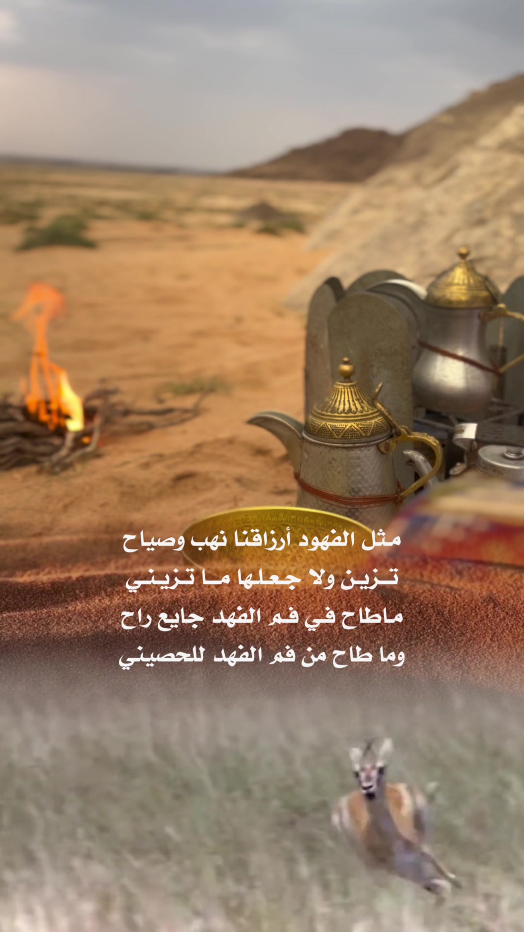 @﮼هدى،الحربي 📸💥